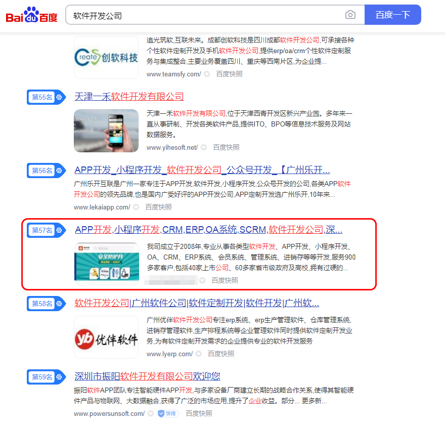 {优化关键词-软件开发公司}SEO优化排名到首页 D2.png