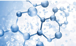 医药公司网站建设方案